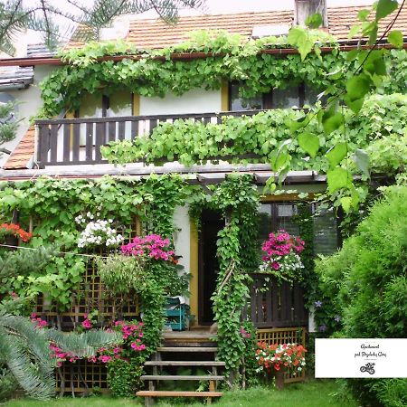 Apartament Pod Strzelecka Gora Jelenia Góra Εξωτερικό φωτογραφία