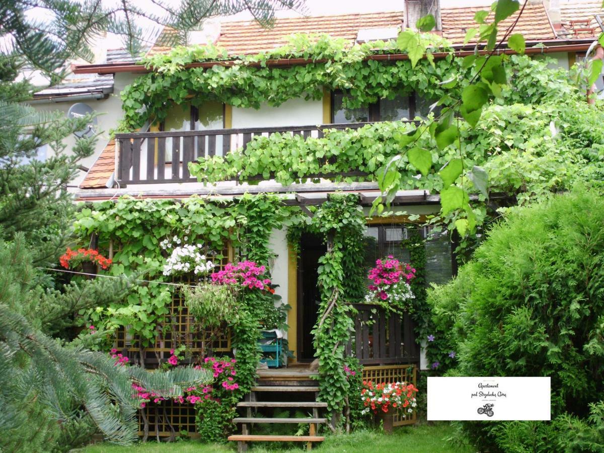 Apartament Pod Strzelecka Gora Jelenia Góra Εξωτερικό φωτογραφία